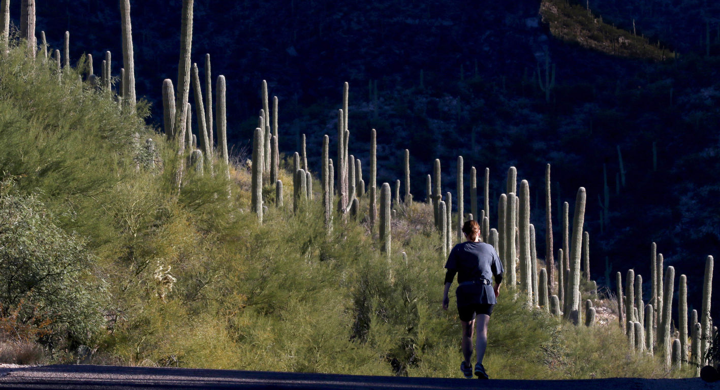 Hiking Sabino